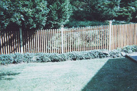 Cedar