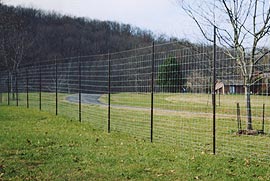 deer fencing