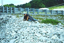 Fence Installation