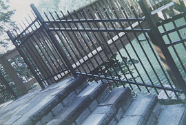 Ornamental 2