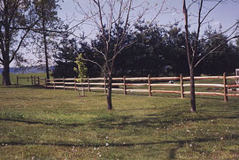 Split Rail Farm